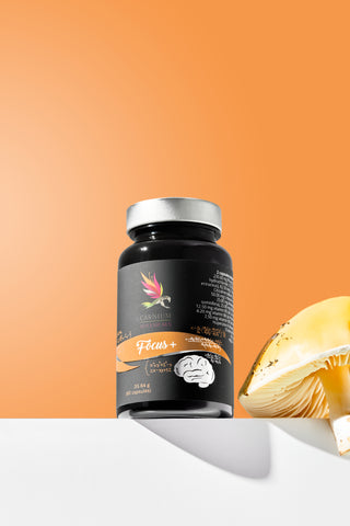 Focus+, doplnok výživy